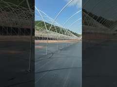 оранжерея оранжерея
