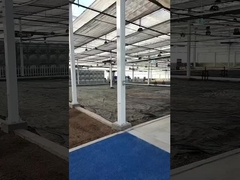 теплица с пленкой