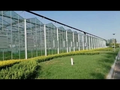 Сельскохозяйственные стеклянные теплицы