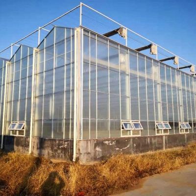 9x12 9x14 9x7 Board Polycarbonate PC Sheet Greenhouse For Hydroponic Growing System