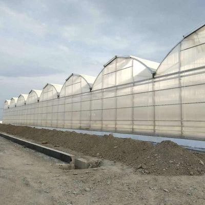 Large Agricultural Polycarbonate Sheets Greenhouse Price From China