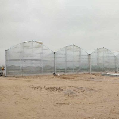 Large Agricultural Polycarbonate Sheets Greenhouse Price From China