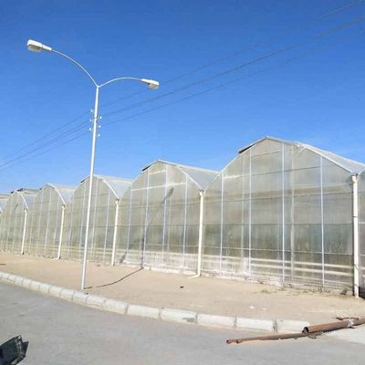 Large Agricultural Polycarbonate Sheets Greenhouse Price From China