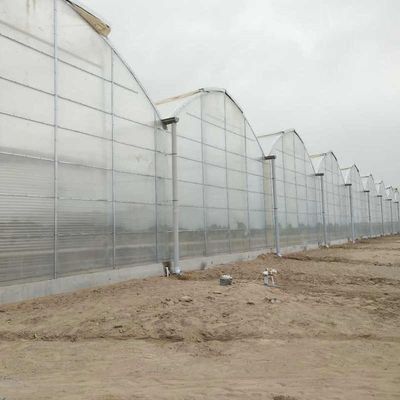 Large Agricultural Polycarbonate Sheets Greenhouse Price From China