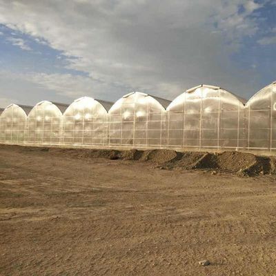 Large Agricultural Polycarbonate Sheets Greenhouse Price From China
