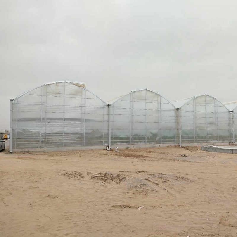 Large Agricultural Polycarbonate Sheets Greenhouse Price From China